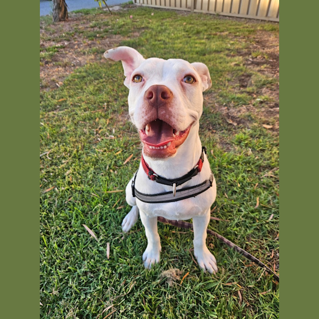 Photo of Polka