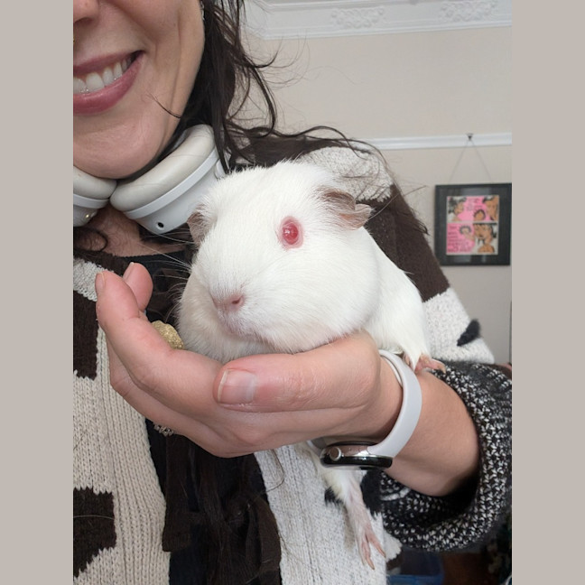 Photo of Cinnamon / Mochi