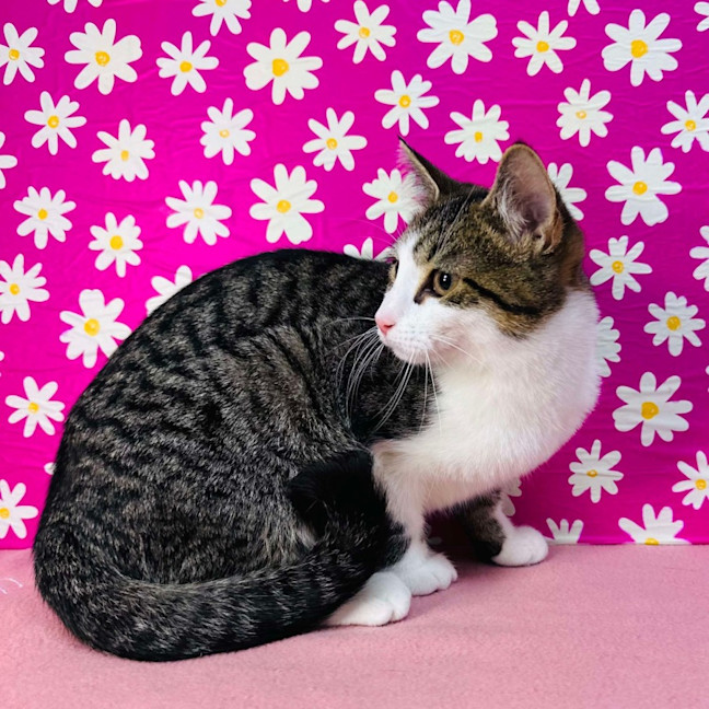 Photo of Jemma   Located In Brunswick East