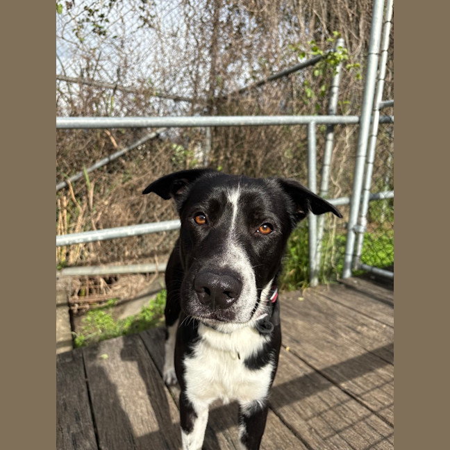 Photo of Max