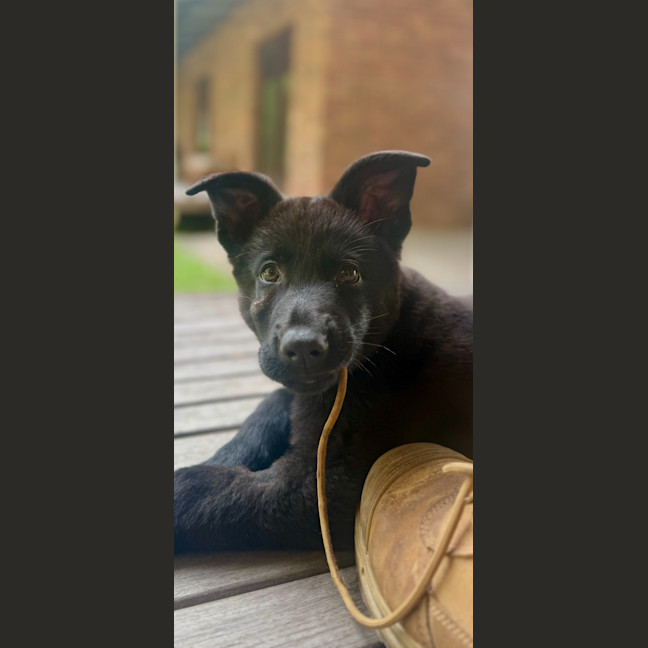 Photo of Monty