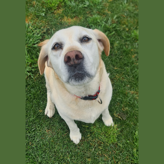 Photo of Lucy