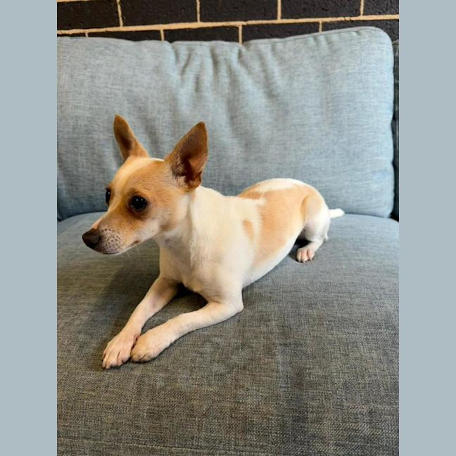 Photo of Miss Stevie