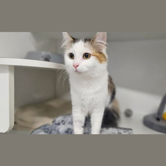 Photo of Mimi