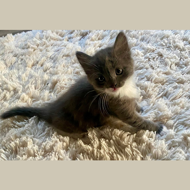 Photo of Erky