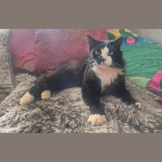 Photo of Cain (0004)