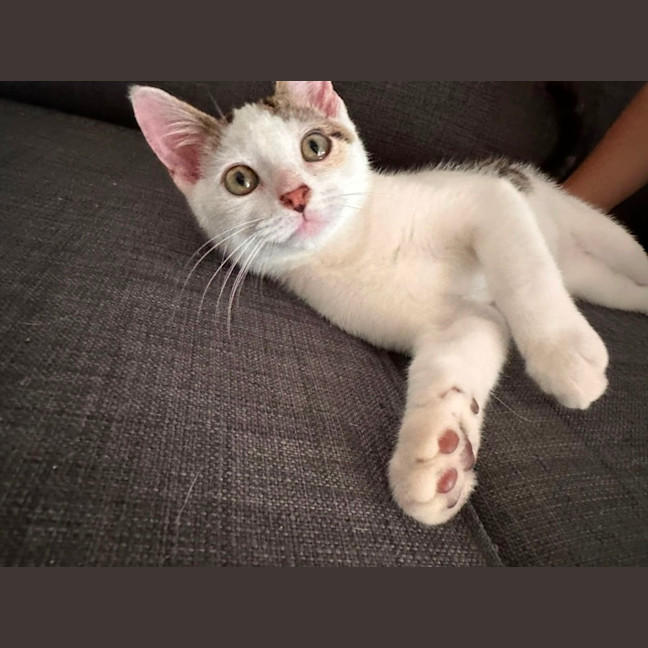 Photo of Major