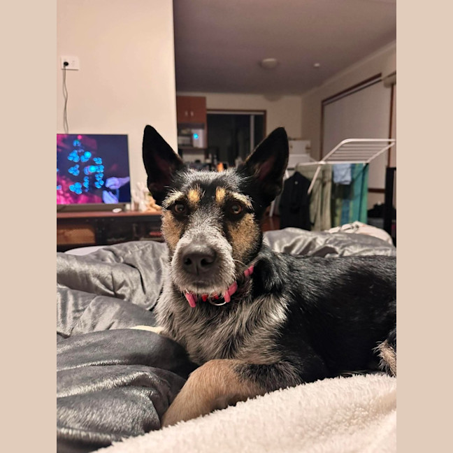Photo of Betty! 💮