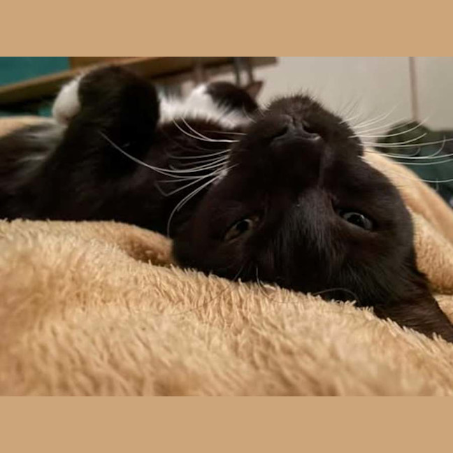 Photo of Evelyn