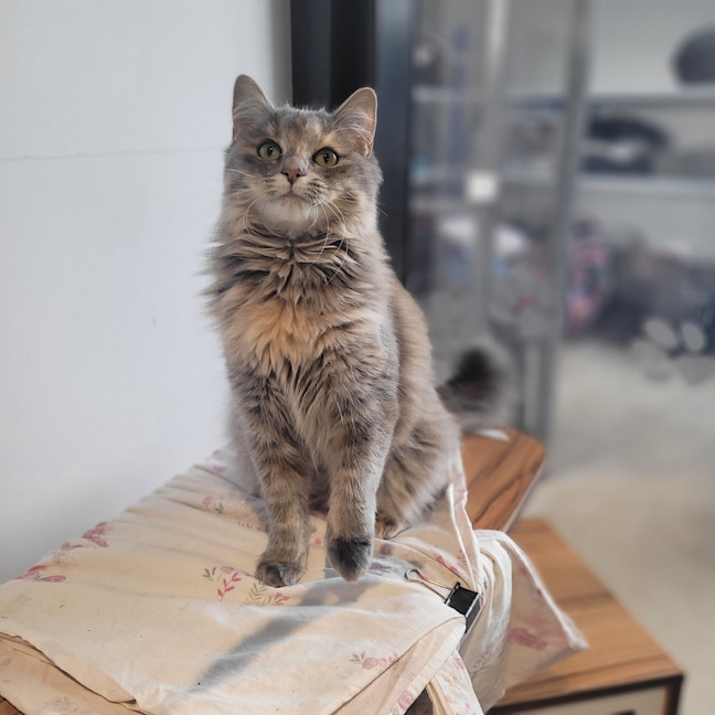 Photo of Lexi