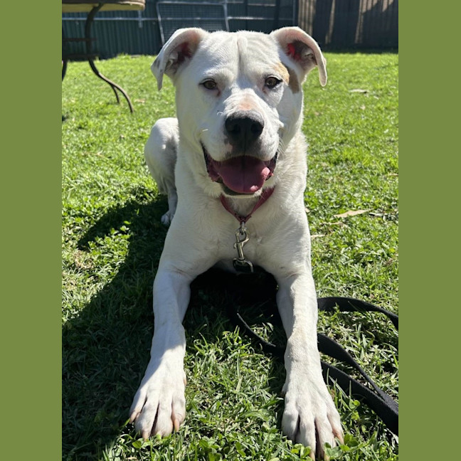 Photo of Jasper