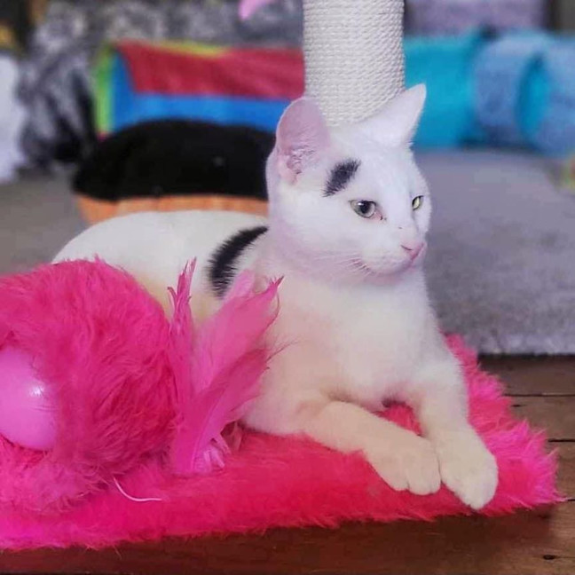 Photo of 9761   Acadia