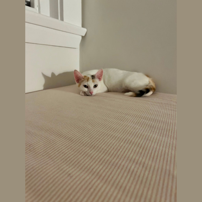 Photo of Lucy Loo