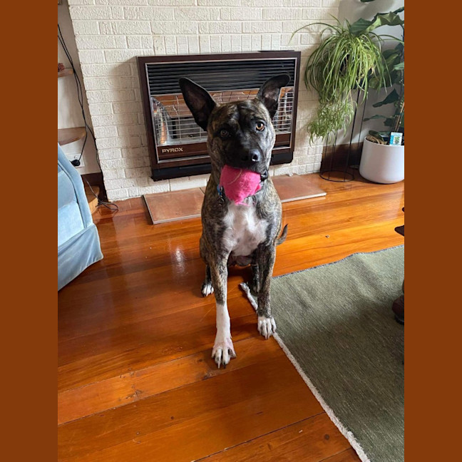 Photo of Lola