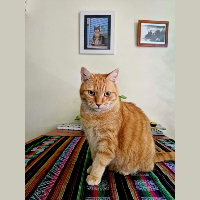 Photo of Meggsy