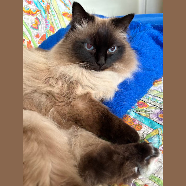 Photo of Kiki
