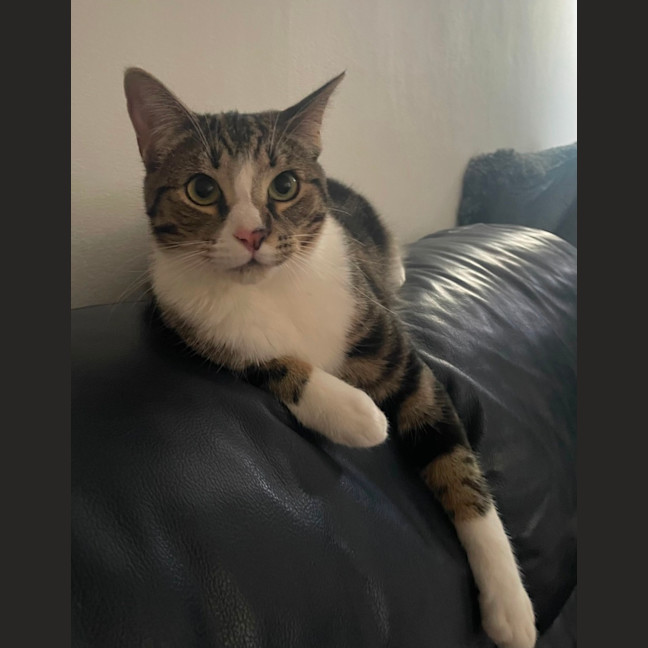 Photo of Leo