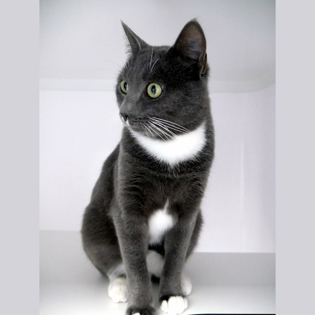 Photo of Tuna Rsta012365