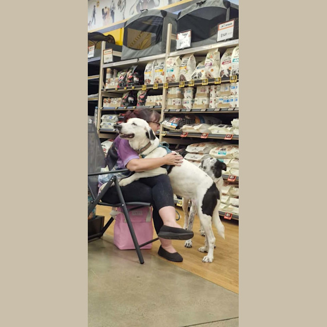 Photo of Dotti And Tina