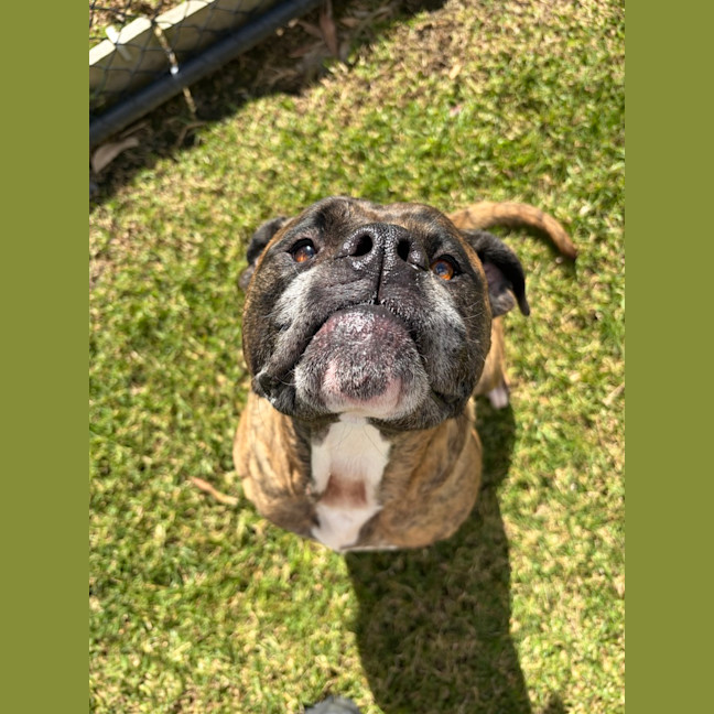 Photo of Cash