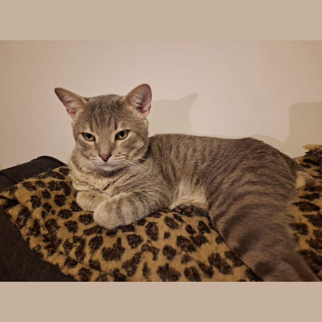 Photo of Grumbles