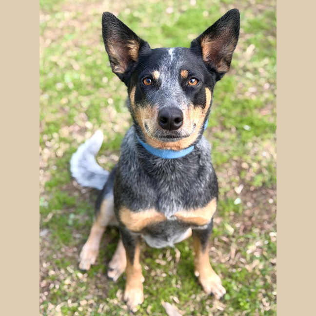 Photo of Kash