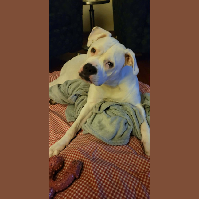 Photo of Lily