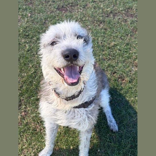 Photo of Winston 