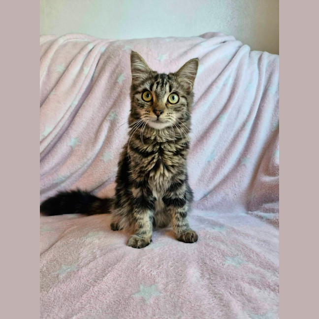 Photo of Yasha