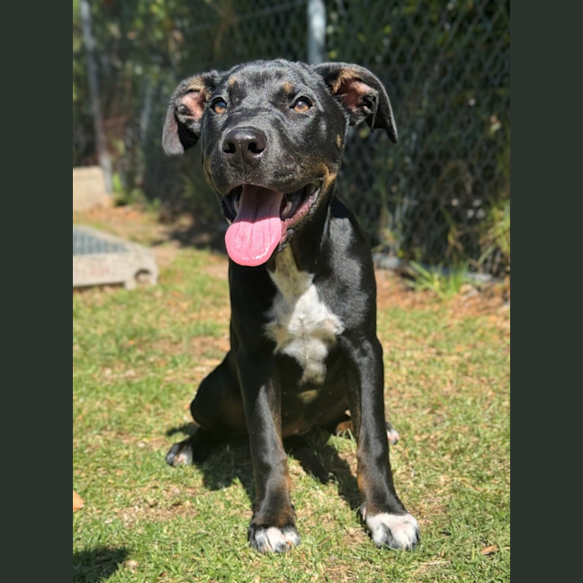 Photo of Roo