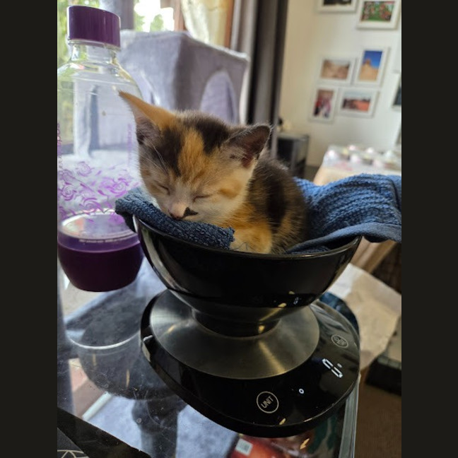 Photo of Sophie