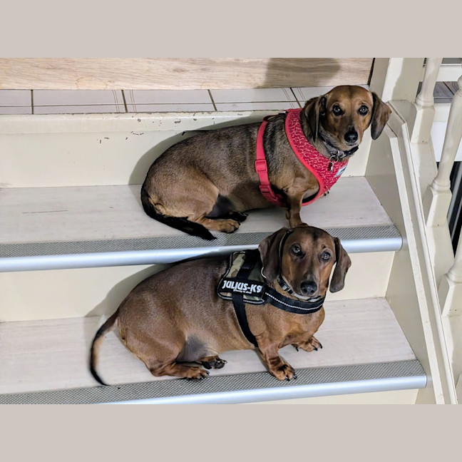 Photo of Harry / Sally