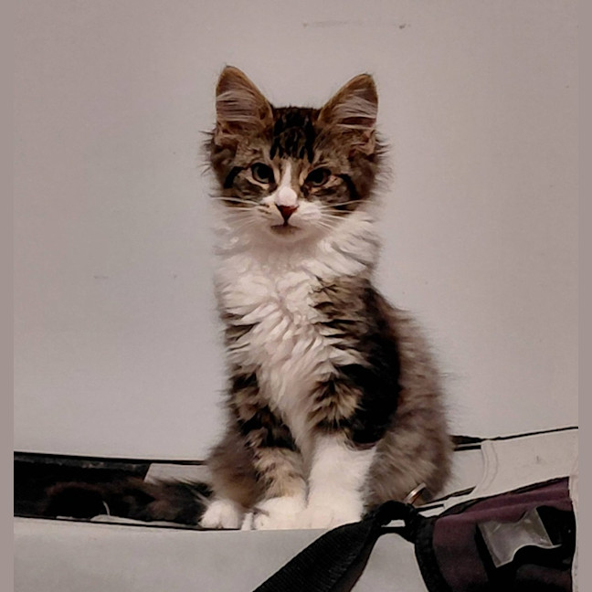 Photo of Theo
