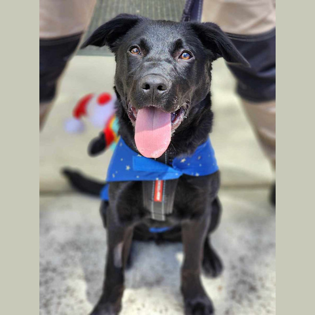 Photo of 🛴 Enzo 5574 🛴