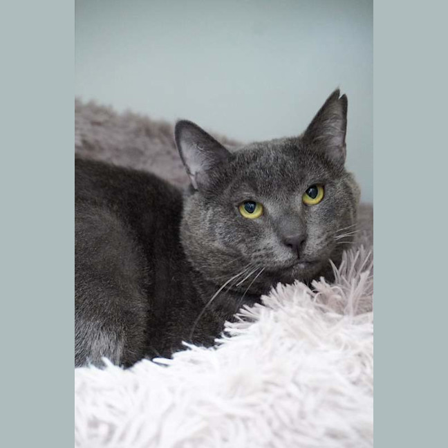 Photo of Sweetie Boy