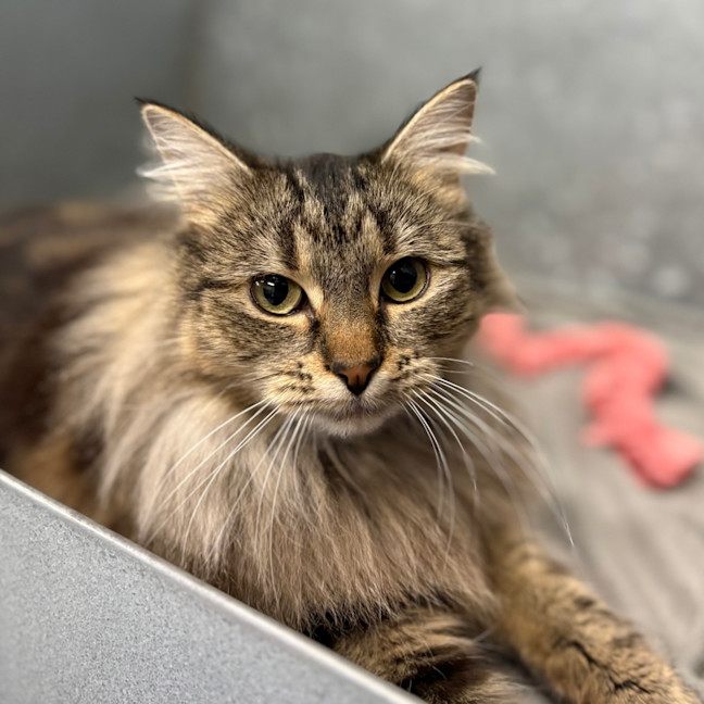 Photo of Wilma