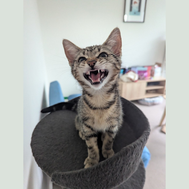 Photo of Lucia Scotty