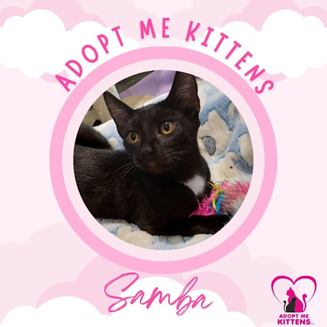 Photo of Samba