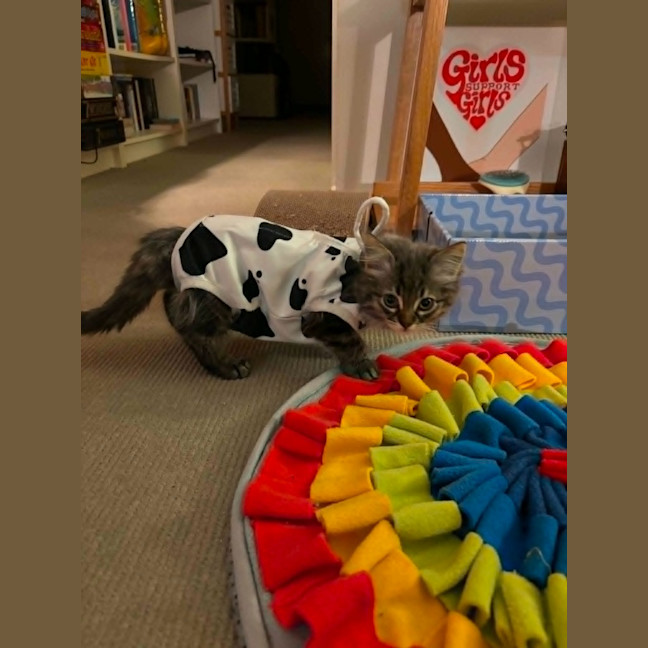 Photo of Tilly