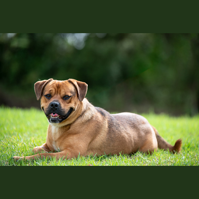 Photo of Escanor