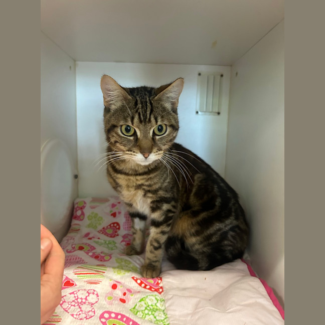 Photo of Turbo