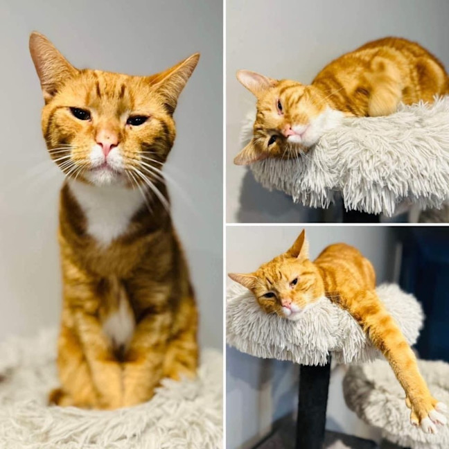 Photo of 3894   Carlisle 