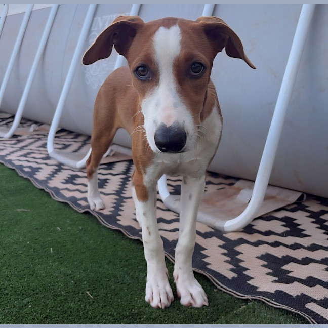 Photo of Marmie