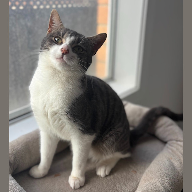 Photo of Sylvie 🌷