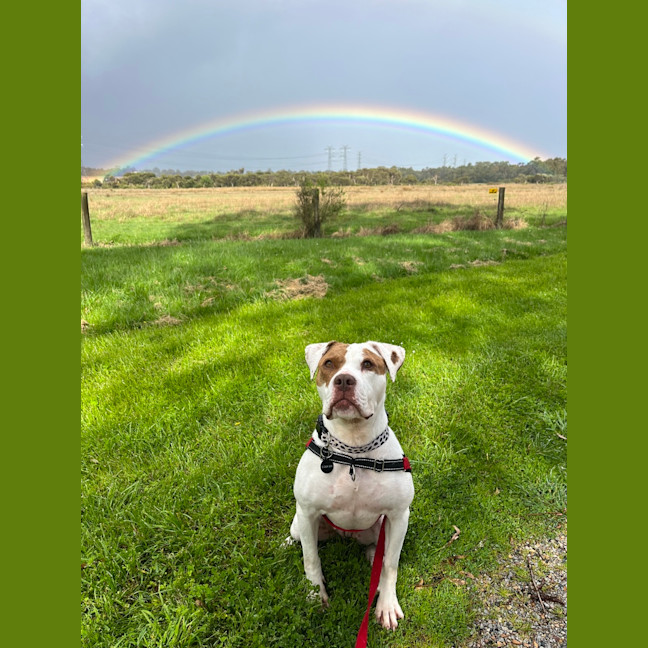 Photo of Dotti
