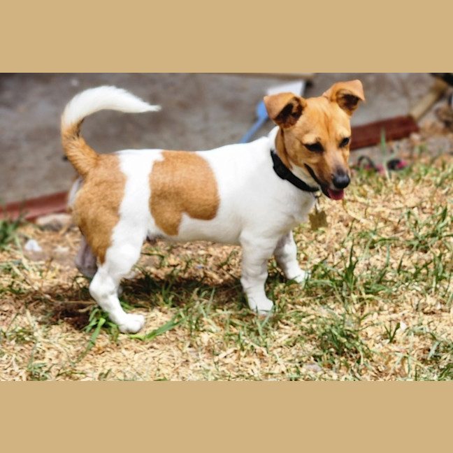 Photo of Ollie Smith