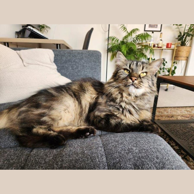 Photo of Molly Lozano