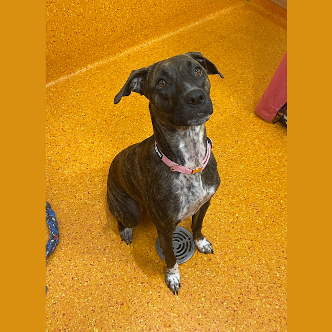 Photo of Winnie