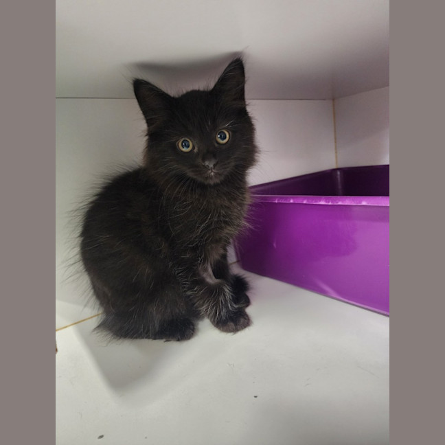 Photo of Aloysius O'hare