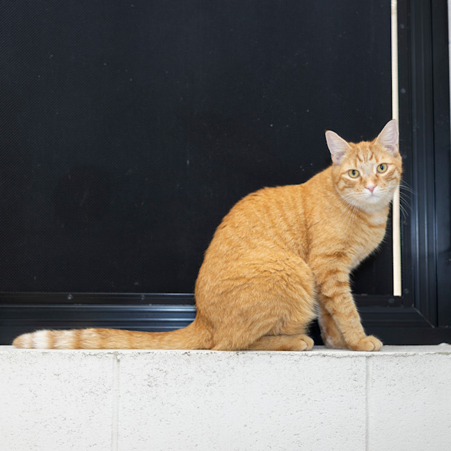 Photo of Archie Boi (Previously Archie)